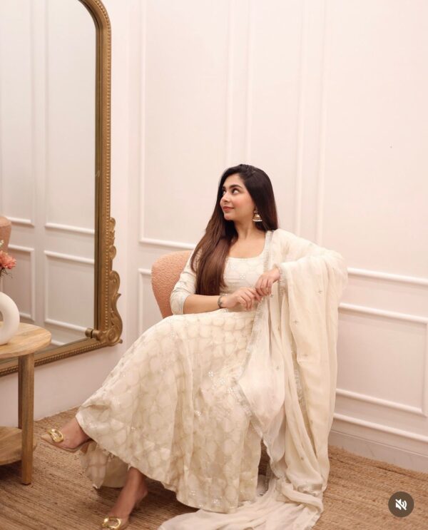 White Color Heavy Embroidery Work Gown
