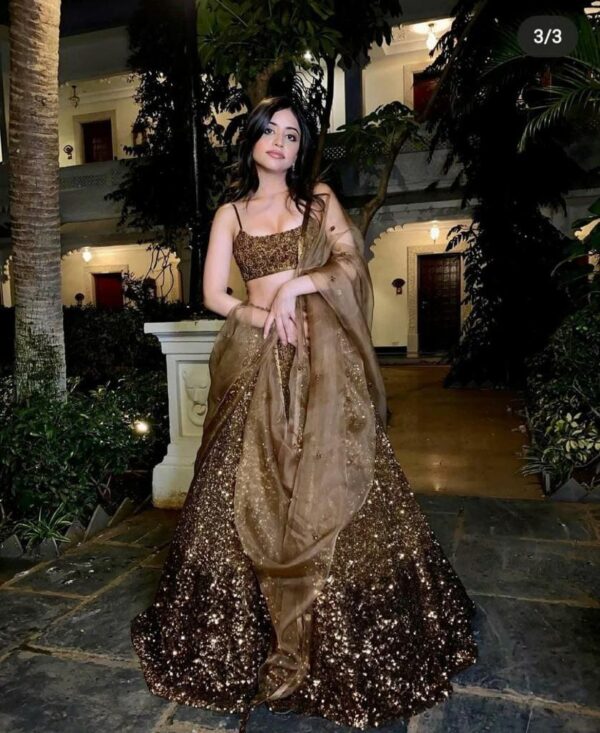 Brown Color Heavy Work Lehenga Choli - Image 3