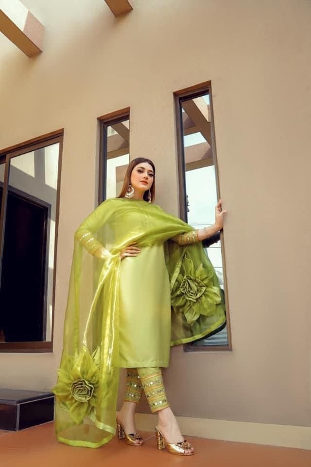 Organza Parrot Color Embroidered Salwar Suit - Image 2